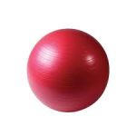 Antiburst Exercise Ball 55cm