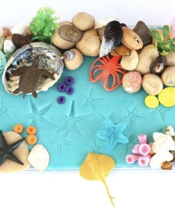 Themed Play Dough Set – Coral Reef By Squiggle | ECI Store