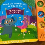 6 Fun & Playful Sounds - Book Series