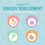 Sensory Fun Fillers - Image 4