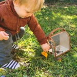 Bug Box & Accessories - Image 3